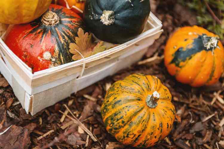 Natural Foods around us
