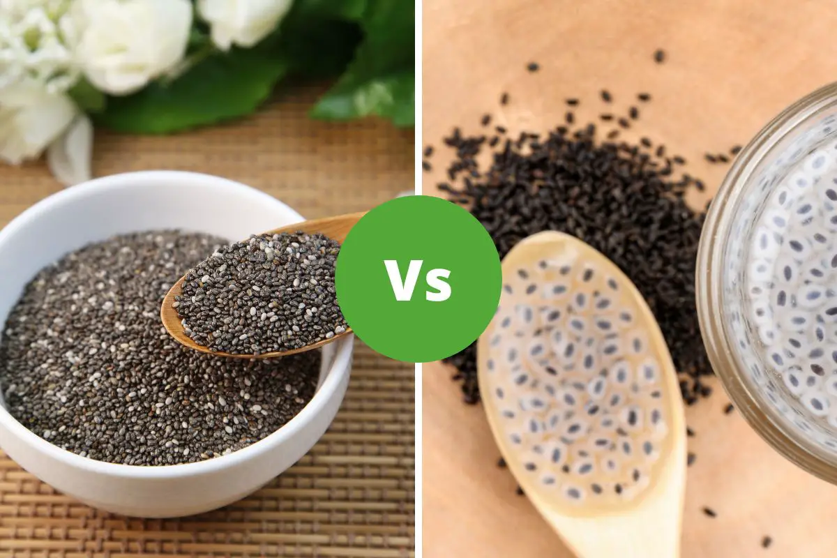 chia 1 1200 × Chia Seeds Vs Basil Seeds: 10 Incredible Benefits You Don’t Know